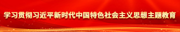 男女艹比免费视频网站学习贯彻习近平新时代中国特色社会主义思想主题教育